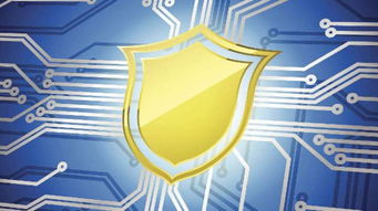 2019年蒼南縣網絡安全宣傳周啟動 聚焦網絡安全軟件開發，活動精彩不容錯過